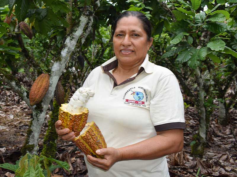 ASPROC-NBT Sistema de georeferenciación de productores orgánicos